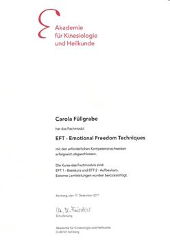 EFT Emotional Freedom Techniques